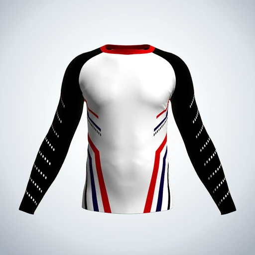 Racing Stripes