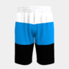 Customize Men's Beach Shorts
