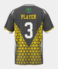 Customize Men's E-sport Jersey Chinese Collar